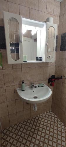 a bathroom with a sink and a mirror at Timbi Vendégház in Vonyarcvashegy