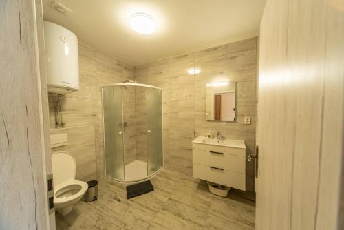 y baño con ducha, aseo y lavamanos. en Penzion u Vadovičů en Šatov