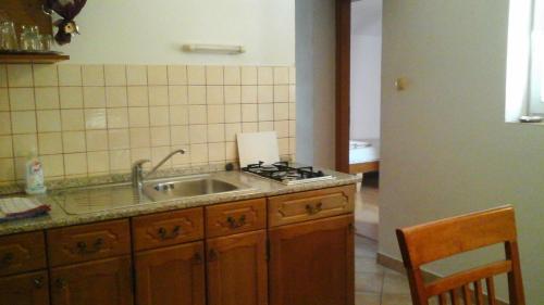 Kuchyň nebo kuchyňský kout v ubytování Apartments Jadranka Povile