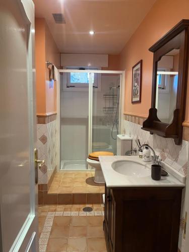 uma casa de banho com um chuveiro, um lavatório e um WC. em Villa do Sil em Sober