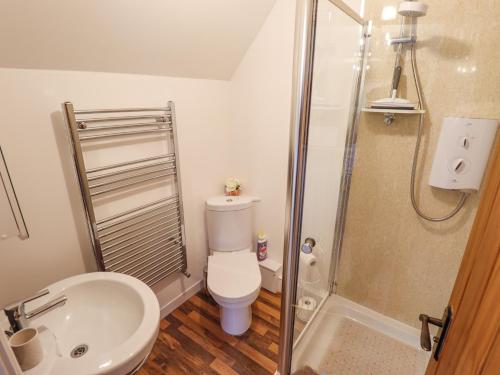 a bathroom with a shower and a toilet and a sink at Saddle Rack Cottage in Louth