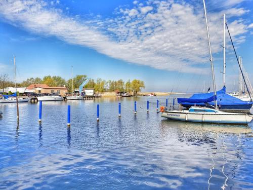 a sailboat is docked in the water at a marina at Apartment am Stettiner Haff in Mönkebude