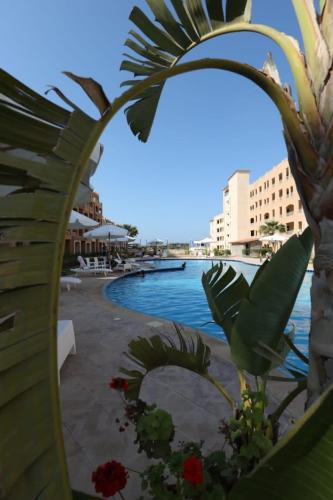vista para a piscina num resort em Agora in front of Marassi em Sīdī ‘Abd ar Raḩmān