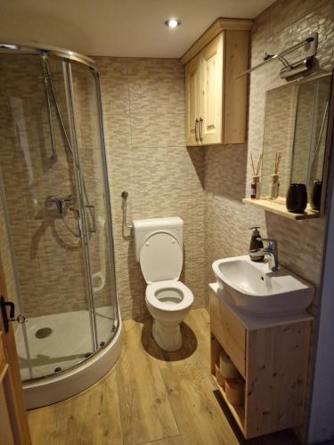 La salle de bains est pourvue d'une douche, de toilettes et d'un lavabo. dans l'établissement Vineyard cottage Vinska grajska kašča, à Mirna