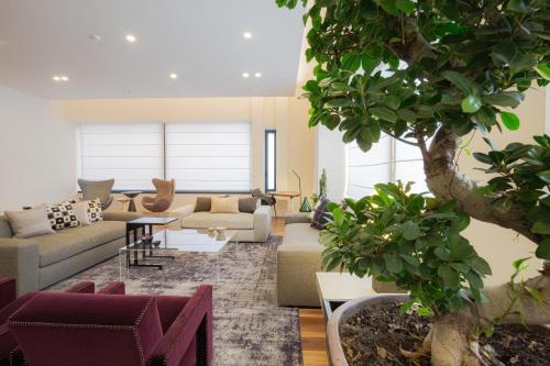 a living room with a couch and a tree at Hotel Politeama in Palermo