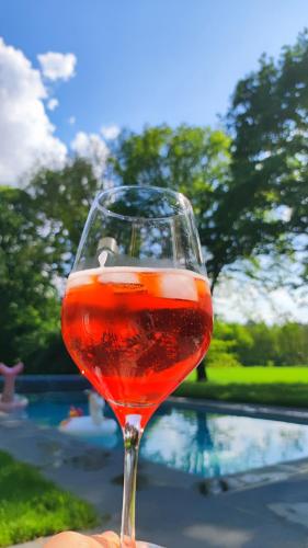 a person holding a glass of wine in front of a pool at The Annex Retreat - a luxury countryside villa in Geysteren