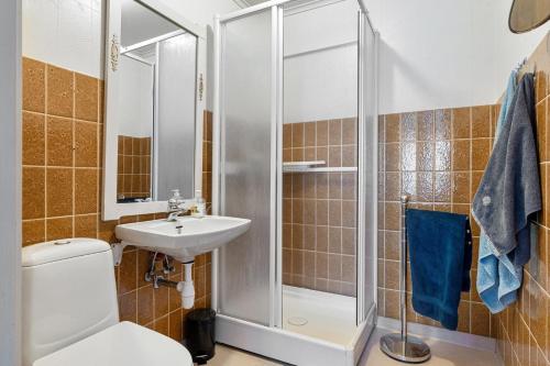 a bathroom with a shower and a toilet and a sink at Tysso Apartment in Tveit