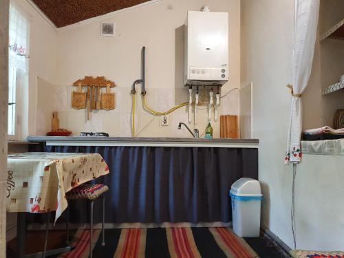 a kitchen with a sink and a counter top at Authentic apartment in the centre in Chişinău
