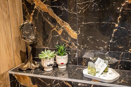 a bathroom with a sink and two potted plants on a counter at Cabana Armonia in Baia-Sprie