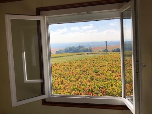 une fenêtre avec vue sur un champ dans l'établissement Le Petit Gîte de Javernières Etage, à Villié-Morgon