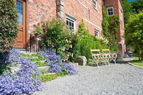Bach y Graig cottage – Photos 4