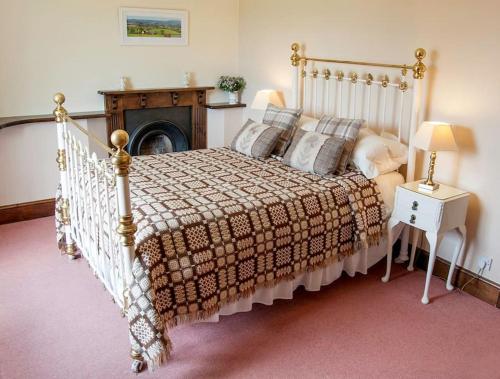 a bedroom with a bed and a fire place at Bach y Graig cottage in St Asaph