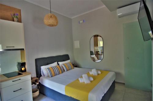 a bedroom with a bed and a mirror at Antigonis Garden House in Chania