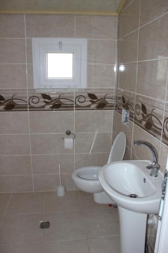 a bathroom with a toilet and a sink at Erhan Usta Canlı Alabalık Tesisi in Trabzon