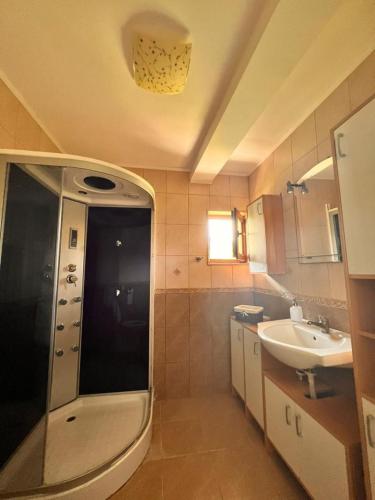 a bathroom with a sink and a shower in it at Casa Mardar in Oradea