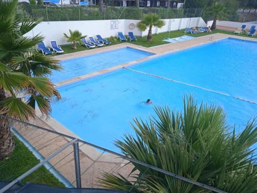 uma pessoa a nadar numa grande piscina azul em VAUMAR APARTMENT - SEA VIEW em Portimão