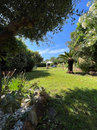 a park with green grass and trees and plants at Villa Acchiappasogni in Porto San Paolo