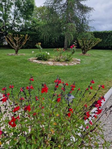 a garden with red flowers in the grass at Gîte l'Enclos Ô rendez-vous Roquefeuil-Pays de sault- avec jardin in Roquefeuil