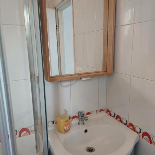 a bathroom with a sink and a mirror and a shower at Apartment Kamenica in Kornić