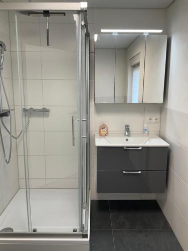 a bathroom with a shower and a sink and a mirror at Apartment Auszeit in Bad Neustadt an der Saale