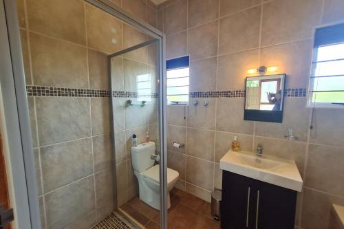 a bathroom with a shower and a toilet and a sink at 25 Hazyview Drakensburg Mountain Views in Underberg