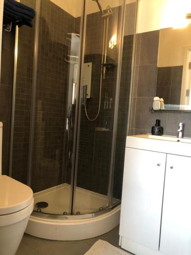 a bathroom with a shower with a toilet and a sink at Cosy Studio Apartment - Blackheath, Greenwich in London