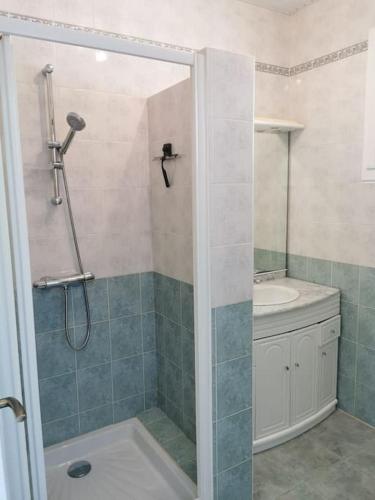 une salle de bain avec douche et lavabo dans l'établissement La Chicane, à LʼAiguillon-sur-Mer