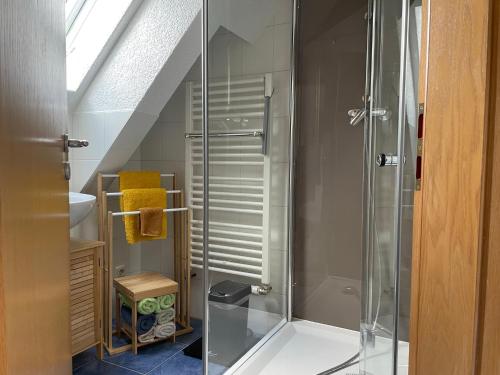 W łazience znajduje się prysznic ze szklanymi drzwiami. w obiekcie Apartment Wartenberg w mieście Eisenach
