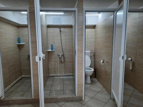 La salle de bains est pourvue de toilettes et d'une douche avec des portes en verre. dans l'établissement Wood Cabins in the heart of Transylvania, à Colţeşti