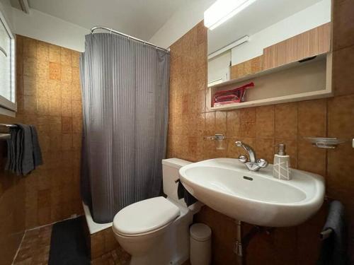 a bathroom with a white toilet and a sink at Relaxing Loft Haven near Zermatt - Parking Free in Täsch