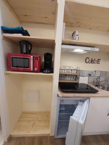 une cuisine avec un micro-ondes et un évier dans l'établissement Studio Epernay 25m2 rez de chaussée, ground floor, à Épernay