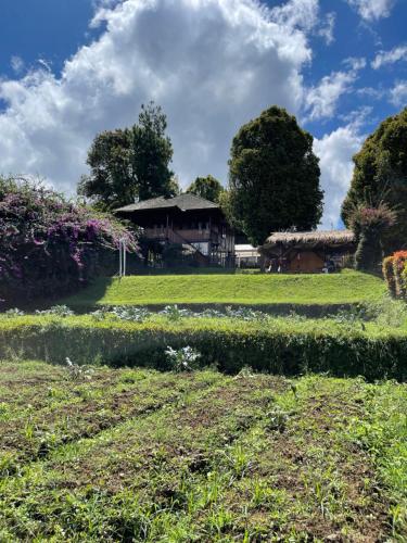a field of grass with a house in the background at Lazuardy Syariah Park and Villa in Bandung