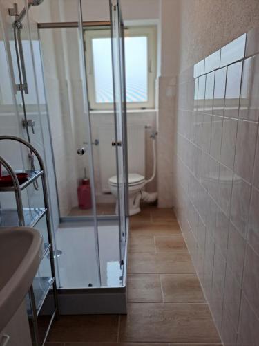 a bathroom with a shower and a toilet at Keller´s Ferienwohnung an der Saale in Schwarzenbach an der Saale