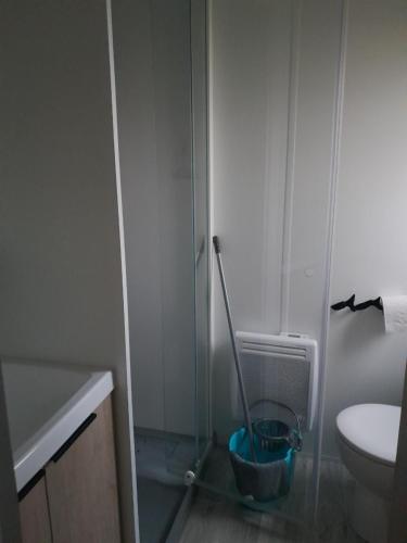 a bathroom with a toilet and a glass shower stall at Les Résidences La becque in Warhem