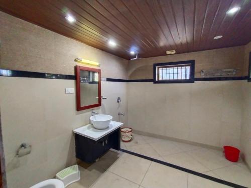 W łazience znajduje się umywalka i lustro. w obiekcie AZZA Heritage Home w mieście Koczin