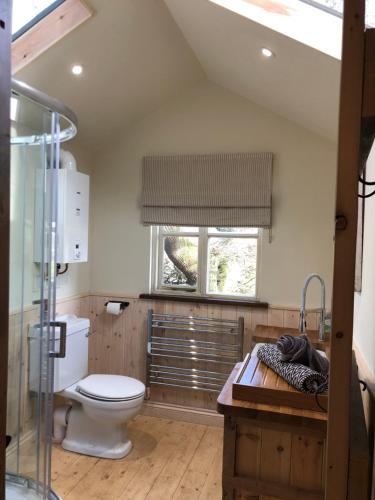 a bathroom with a toilet and a sink and a window at Woodpecker Cabin with Hot tub in King's Lynn