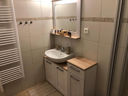 een badkamer met een wastafel en een spiegel bij Dům na jihu Valtice in Valtice