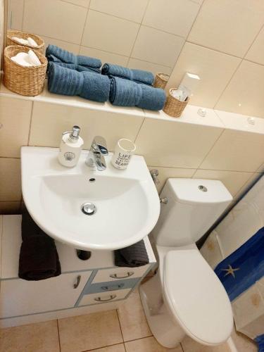 a bathroom with a white sink and a toilet at HangVilla Badacsony in Badacsonytomaj