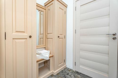 a walk in closet with a wooden door at Hotel Rin in Sibiu