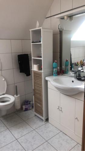 ein Badezimmer mit einem Waschbecken, einem WC und einem Spiegel in der Unterkunft Chez lulu et aurelie in Meroux