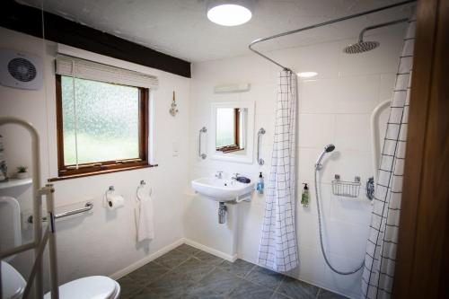 a bathroom with a sink and a shower and a toilet at The Stables at Country Ways in Atherington