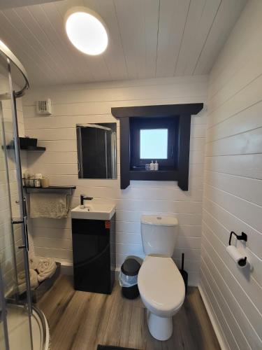 a small bathroom with a toilet and a sink at Blue Haven Lodge in Doolin