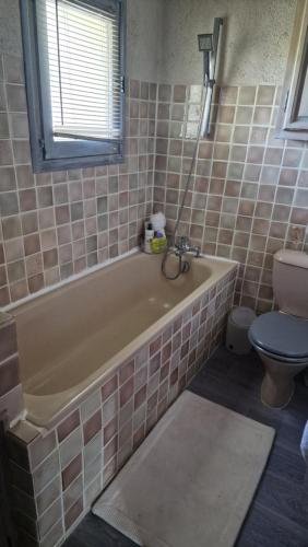 德拉吉尼昂的住宿－Le MAS DU SUD，带浴缸和卫生间的浴室。