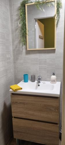 een badkamer met een wastafel en een spiegel bij La clé des champs in Asnières