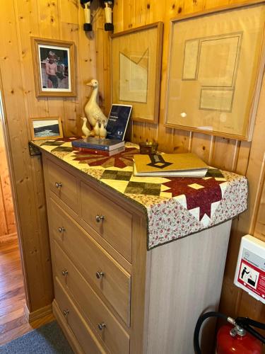 a kitchen with a counter with a laptop on it at Summerhouse Vaglaskogur in Akureyri