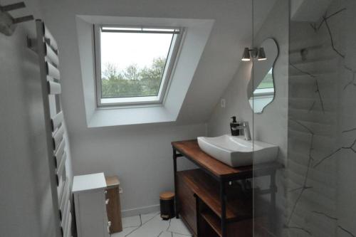 uma casa de banho com um lavatório e um espelho em Villa An Castine avec spa pour 6pers proche plages em Saint-Cast-le-Guildo