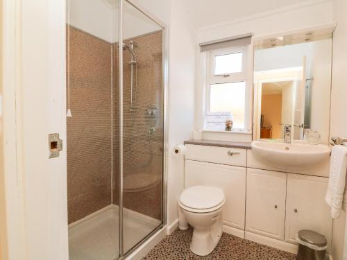 a bathroom with a shower and a toilet and a sink at Mojo in Ilfracombe