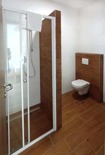 a bathroom with a shower and a toilet at Penzion U Provazníka in Zdíkov
