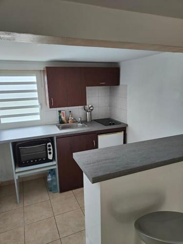 eine Küche mit einer Spüle und einer Mikrowelle in der Unterkunft Charmant studio à la campagne Sainte-Anne/Gosier en Guadeloupe in Sainte-Anne
