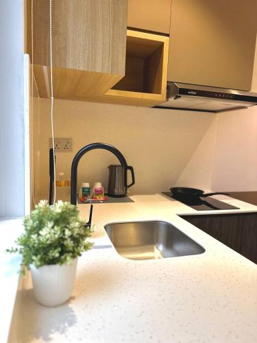 a kitchen with a sink and a potted plant on a counter at ISA Hotel Amber Road in Singapore